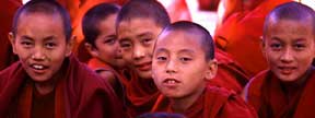 Young monks